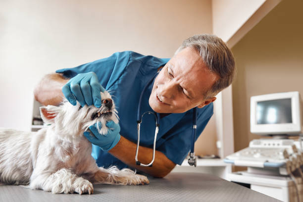 Best Emergency Broken Tooth Repair in Niceville, FL